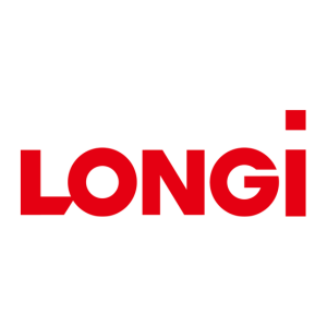 Longi 300X300