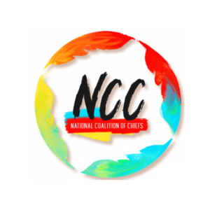 NCC Logo 300 X 300